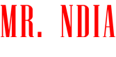 Mrs-india-worldwide-logo